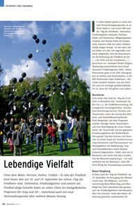 Klicken zum Vergrößern Klicken zum Vergrößern